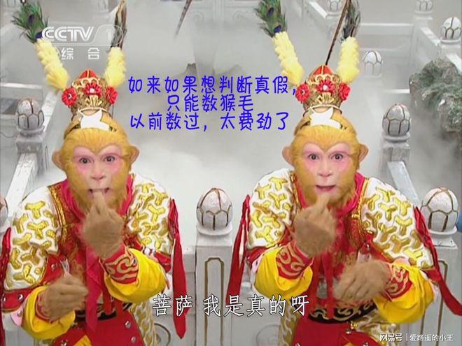 真假美猴王怎么拍出来的图标
