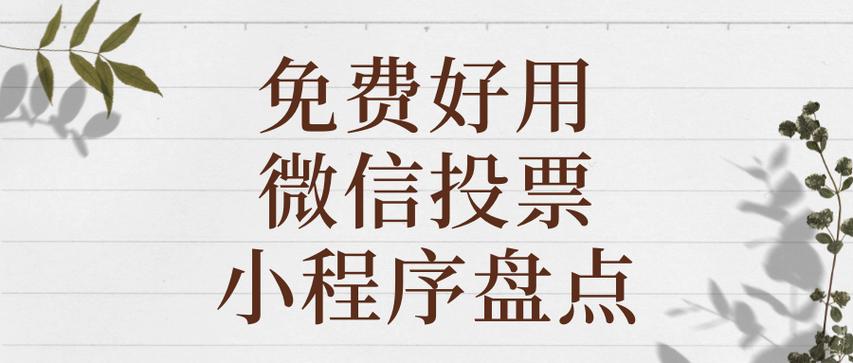 投票小程序哪个好用图标