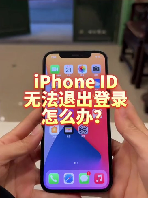 解除ipad访问限制的方法图标