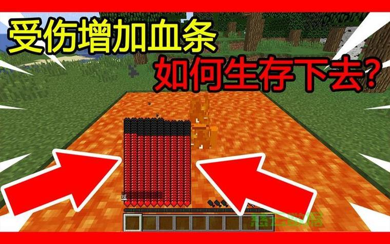 我的世界怎样加血