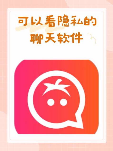 什么聊天软件可以密聊图标