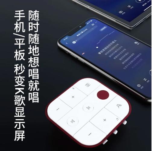 天籁k歌麦克风怎么连接电视图标