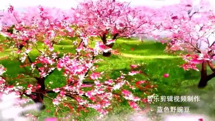 太极音乐观音灵感歌加长版mp3免费下缩略图