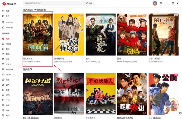 西瓜视频在线观看免费播放电视剧40集游戏截图