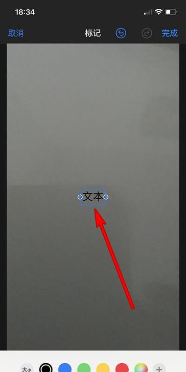 苹果手机怎么拍照直接转换成文字图标