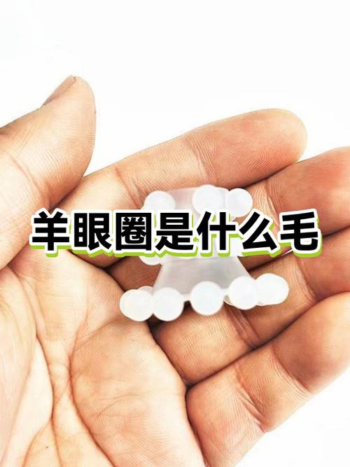 羊眼圈干什么呢缩略图