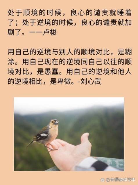 逆境中最经典十句话游戏截图