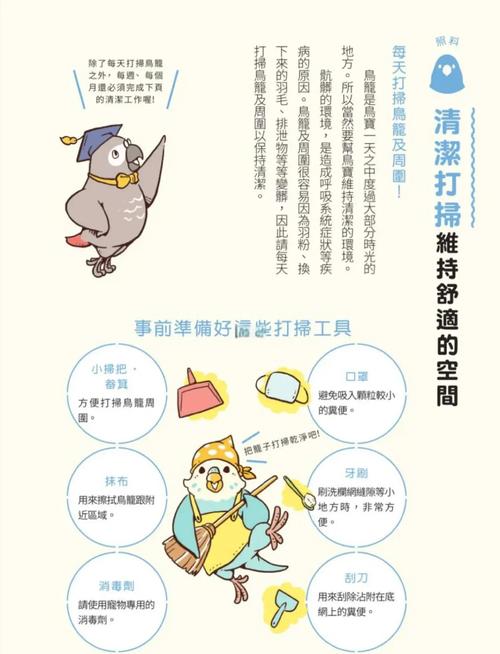 养什么鸟最干净又好养缩略图