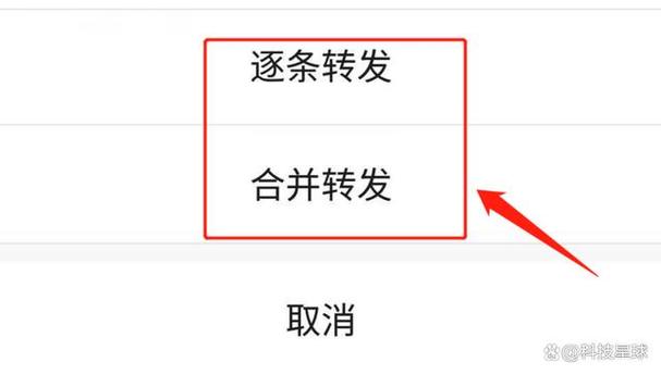 微信语音通话记录可以调出来吗