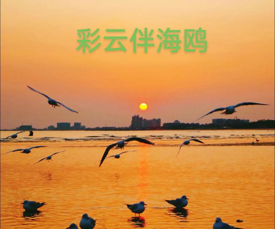 彩云伴海鸥最经典十句话游戏截图