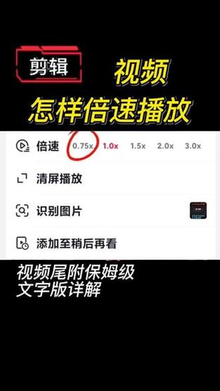 手机视频怎么0.5倍速播放缩略图