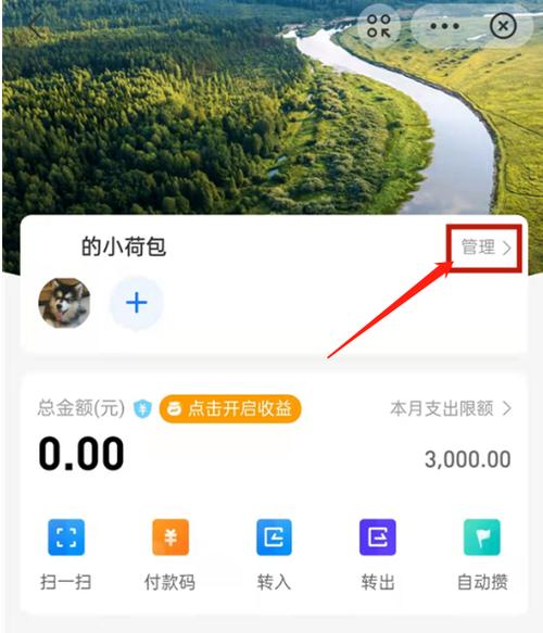支付宝小荷包怎么设置金额缩略图