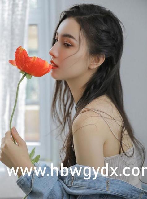 孤岛飞鹰电视剧全集观看缩略图