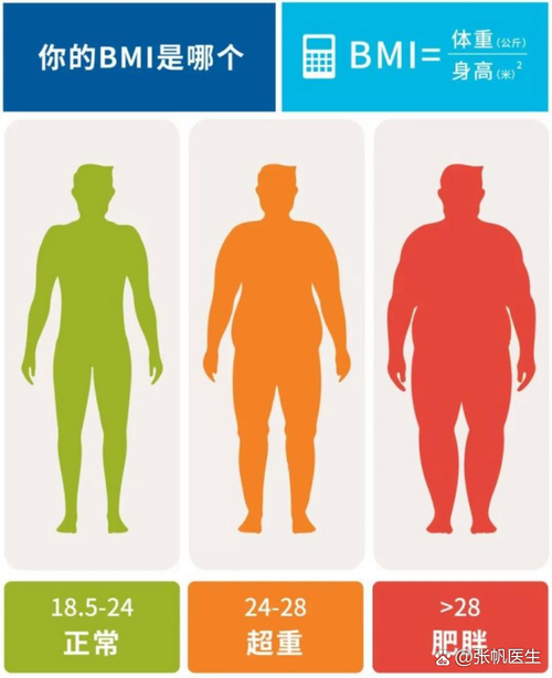 小米体重秤好还是体脂秤好缩略图
