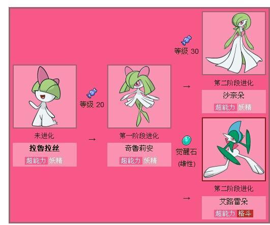 口袋妖怪魂银精灵进化等级游戏截图