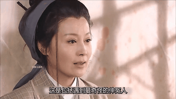 包青天之狸猫换太子全集免费缩略图