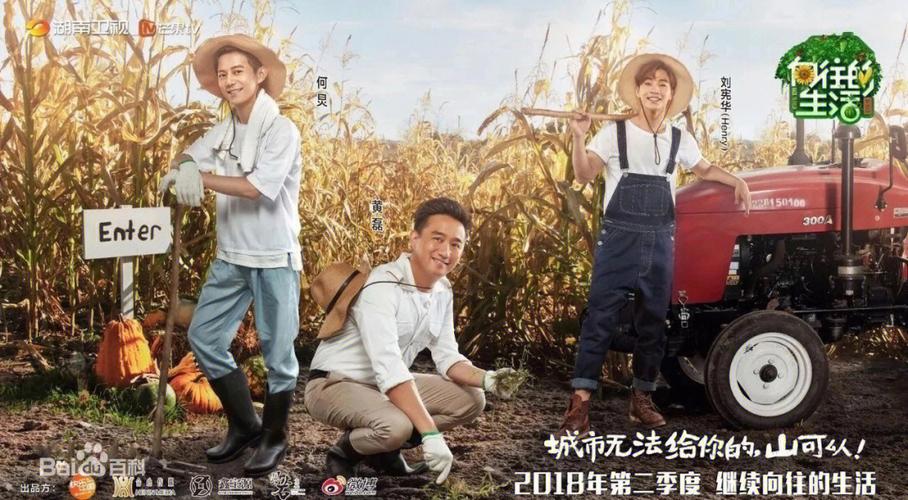 向往的生活之咸鱼大明星笔趣阁游戏截图