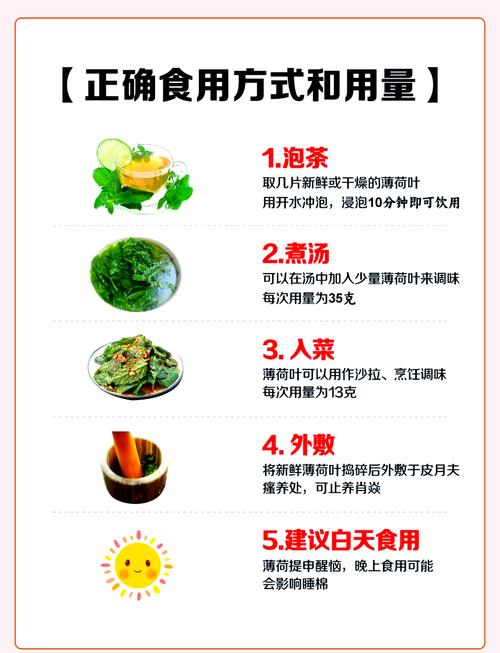 口袋妖怪剑盾薄荷怎么获得缩略图