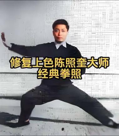 现今太极拳大师排名图标