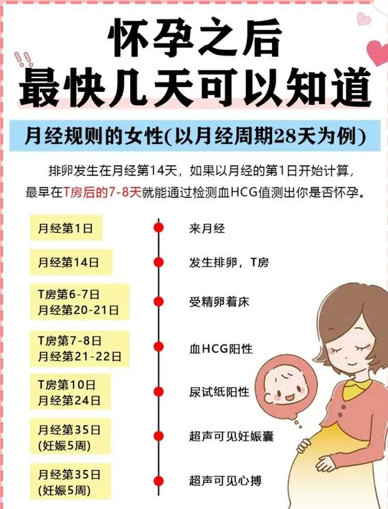 多久可以知道自己怀孕了图标