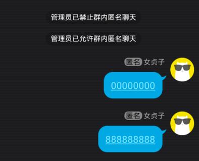 陌生人在线随机匿名聊天缩略图