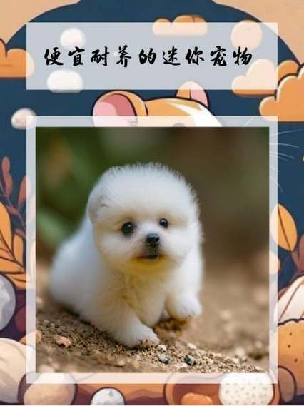 迷你世界怎么养宠物?缩略图