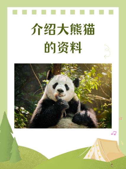 介绍一种动物熊猫作文150字图标