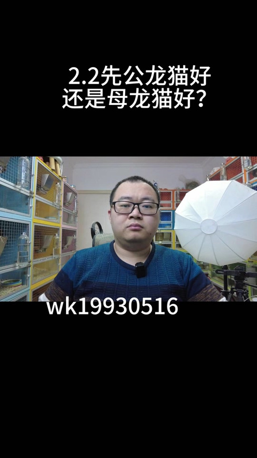龙猫数据众包图标