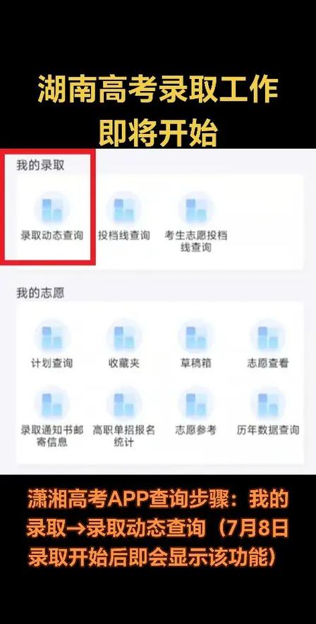 高考志愿怎么查询缩略图