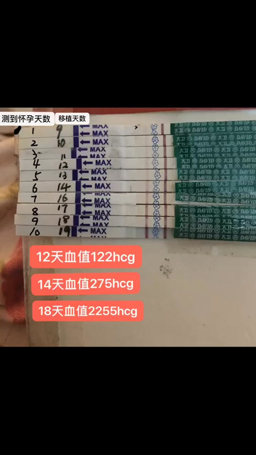试管移植后怎么算怀孕几周图标