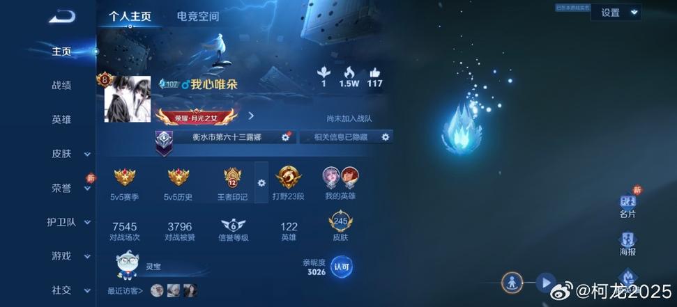 王者荣耀名字单字ID缩略图