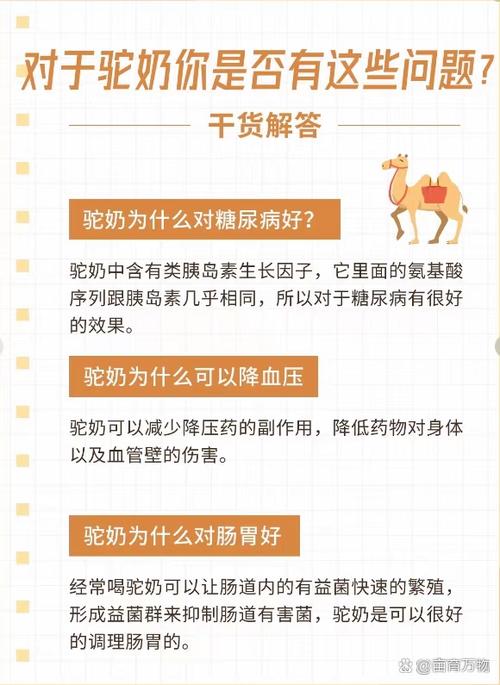 驼奶粉的功效与作用缩略图