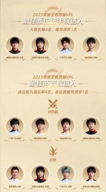 王者荣耀职业选手为什么不用苹果图标