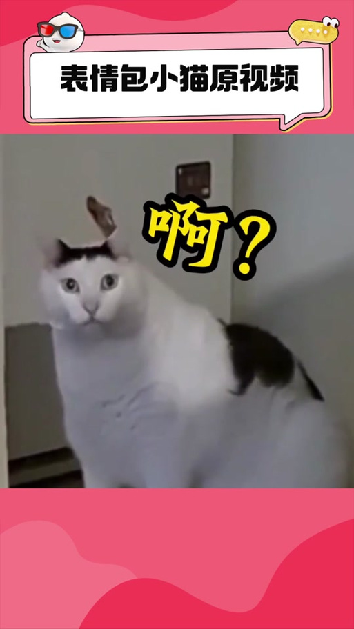 抖音肌肉猫比心表情包图标
