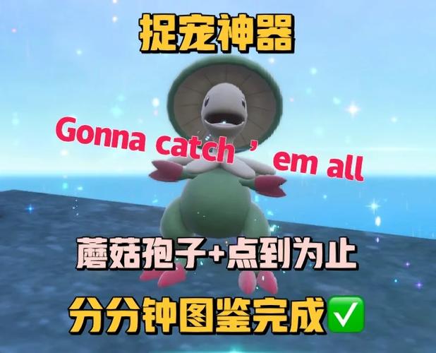 宝可梦tcgive报错闪退解决方法游戏截图