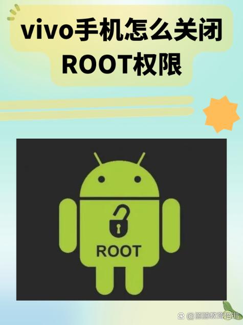 vivo怎么解除data访问权限图标