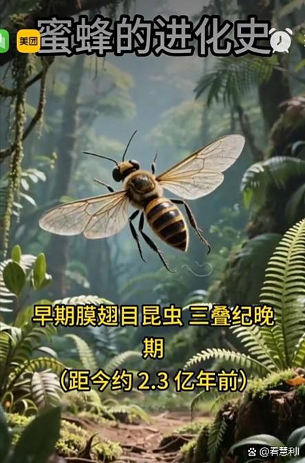 蜜蜂3d进化免广告缩略图