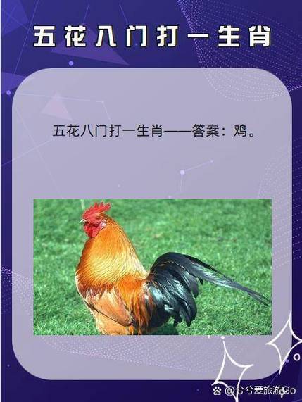 正确答案打一准确的生肖图标