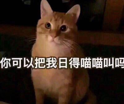 女生发喵喵喵暗示什么游戏截图