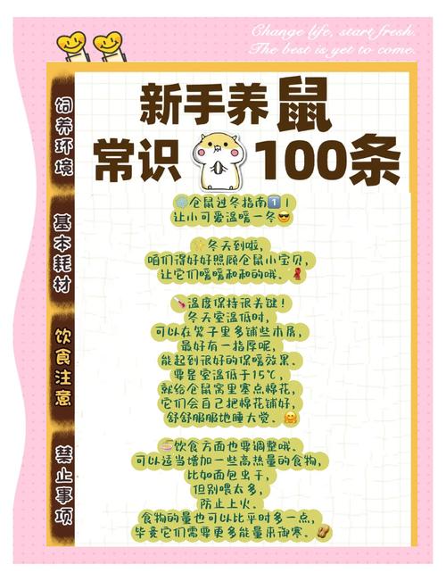 中国可以养阔耳狐吗图标