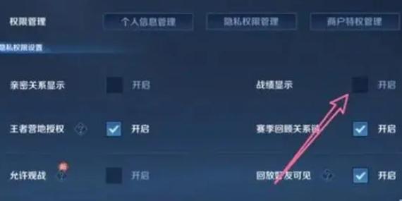 王者荣耀不让好友看历史战绩图标