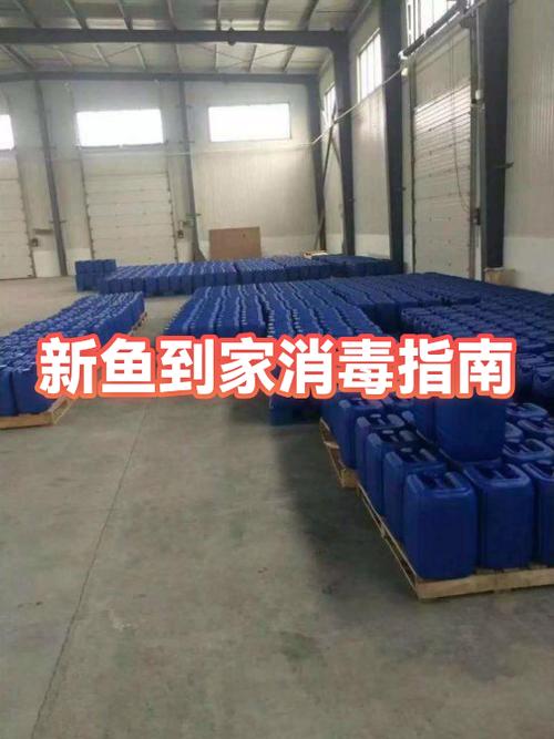 网上买的鱼到家怎么处理缩略图