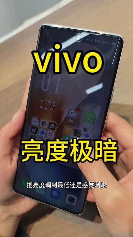 vivo手机亮度突然变暗了但是调不回来游戏截图