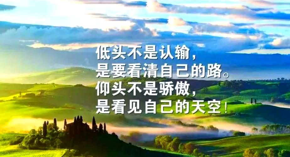 人生高度最经典十句话游戏截图