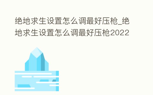 绝地求生设置怎么调最好压枪 (绝地求生设置怎么调最好压枪2022)游戏截图