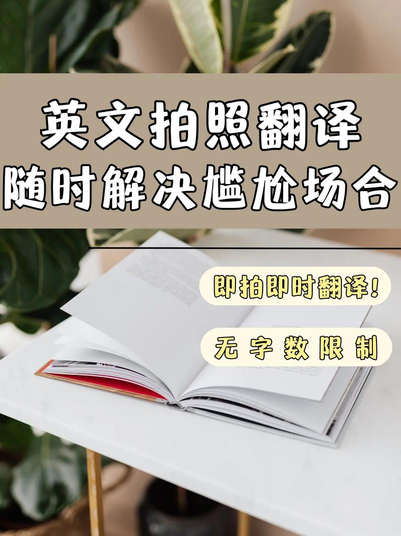 英语翻译器拍照翻译扫一扫读出来缩略图