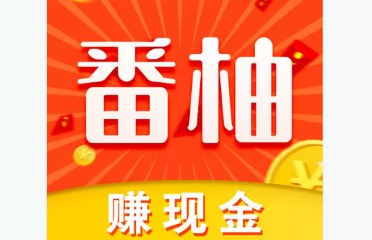 番柚短视频赚钱是真的吗?游戏截图