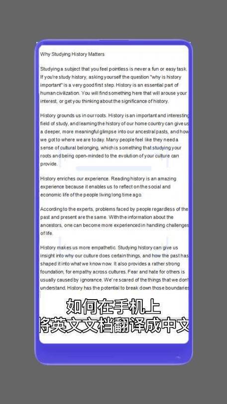英译汉转换成中文软件