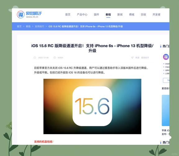 苹果6ios12降级ios8