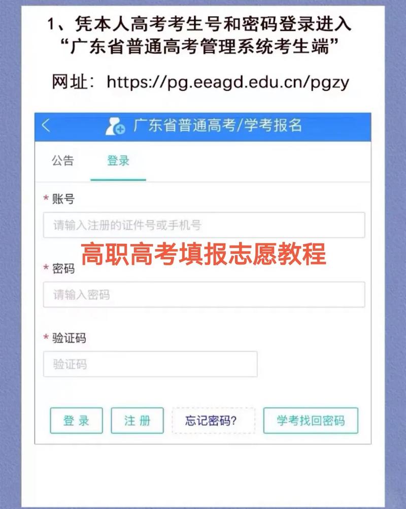 高考模拟填报志愿入口